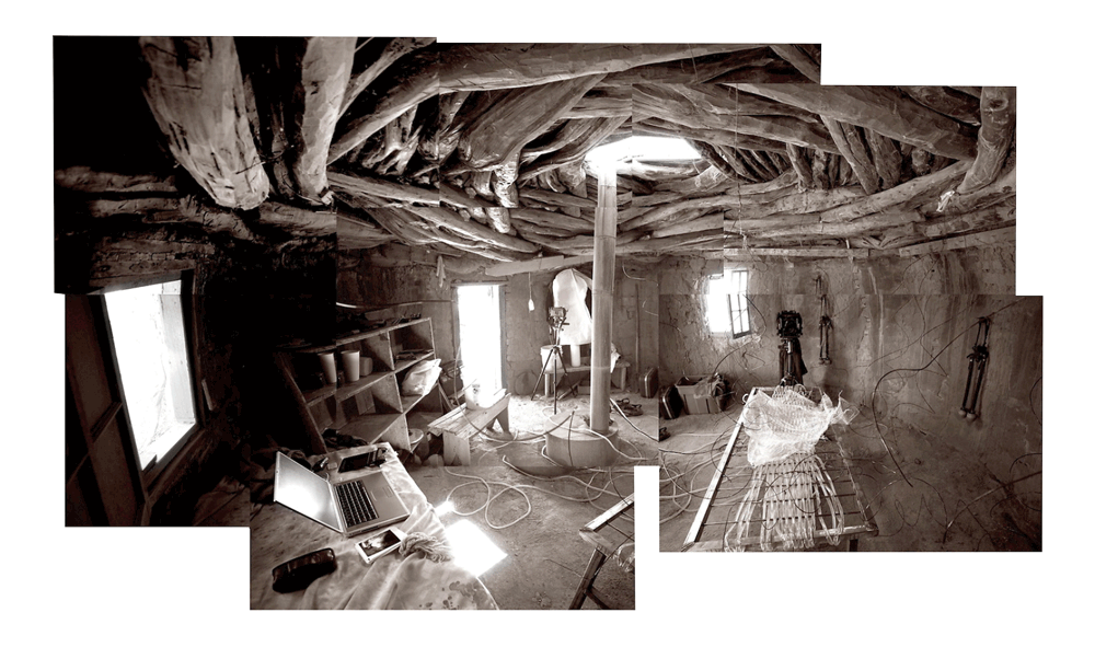 Will Wilson, *AIR (Auto-Immune Response),* <br />© Will Wilson